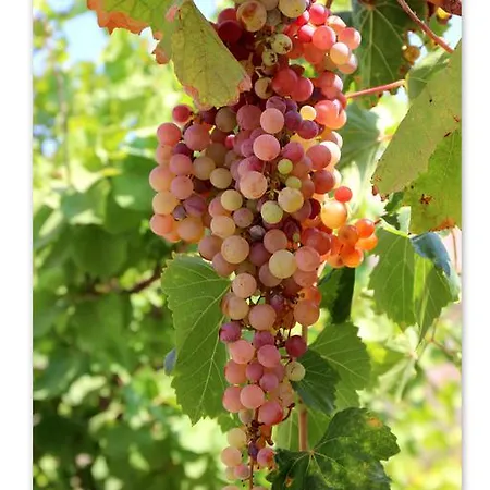 Дом отдыха Traditional House By The Beach