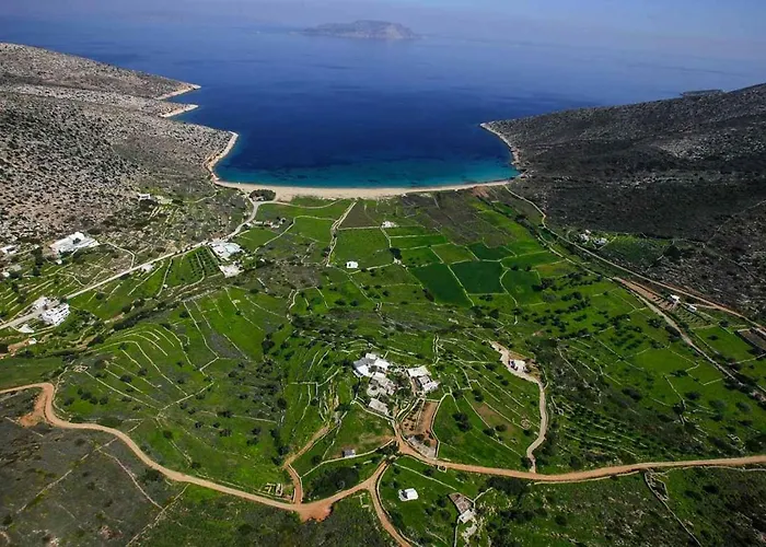 Traditional House By The *